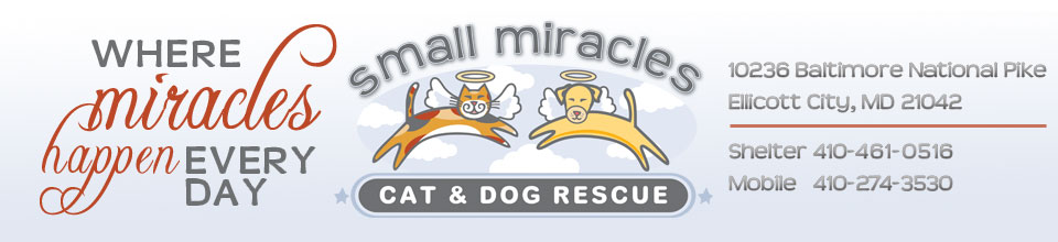 Small Miracles Cat & Dog Rescue Ellicott City, MD