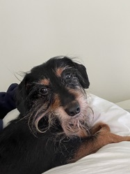 Eddie